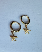 Starfish Gold or Silver