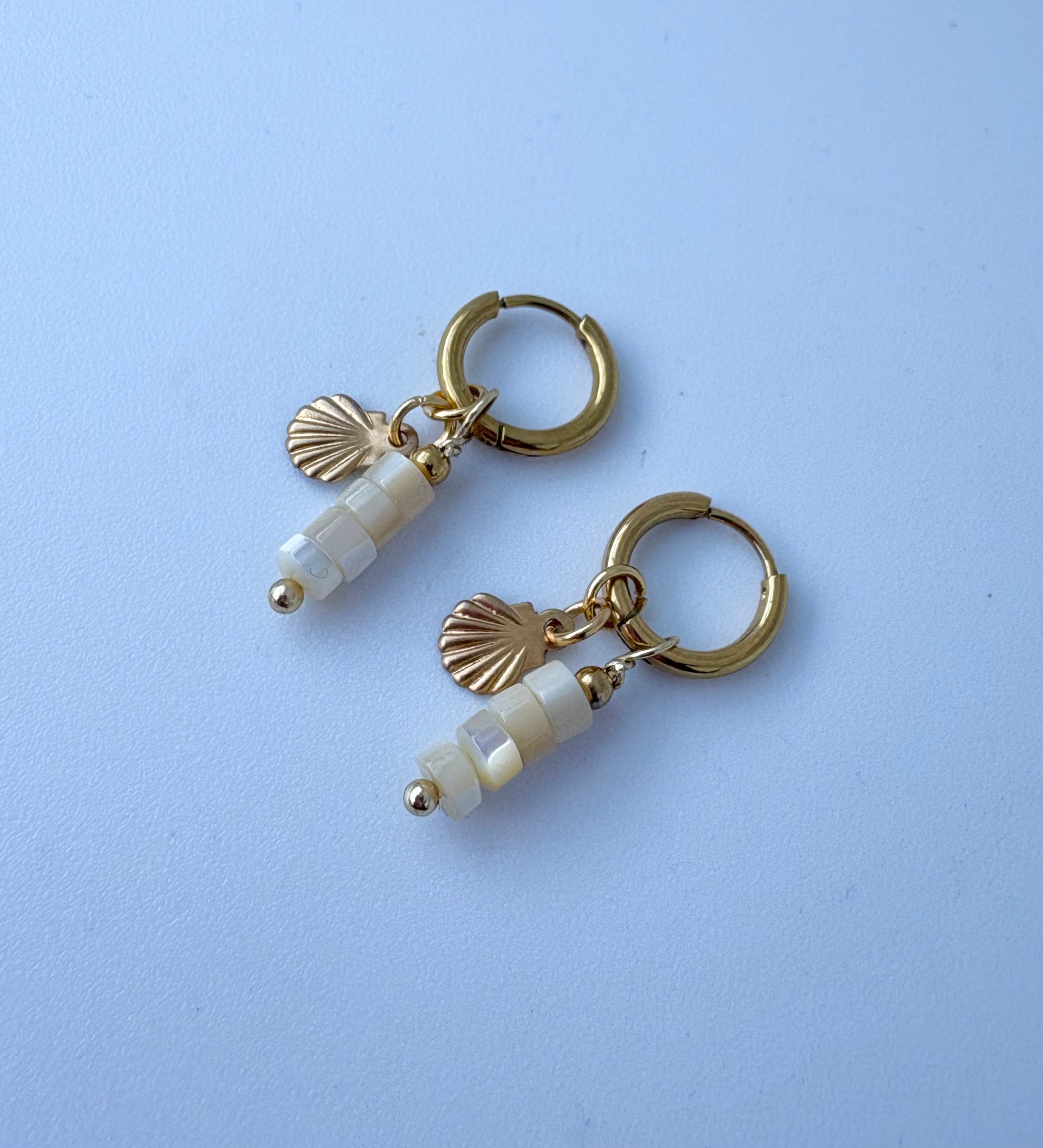 Shine and shell