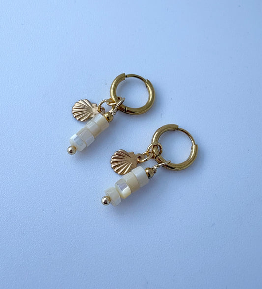 Shine and shell