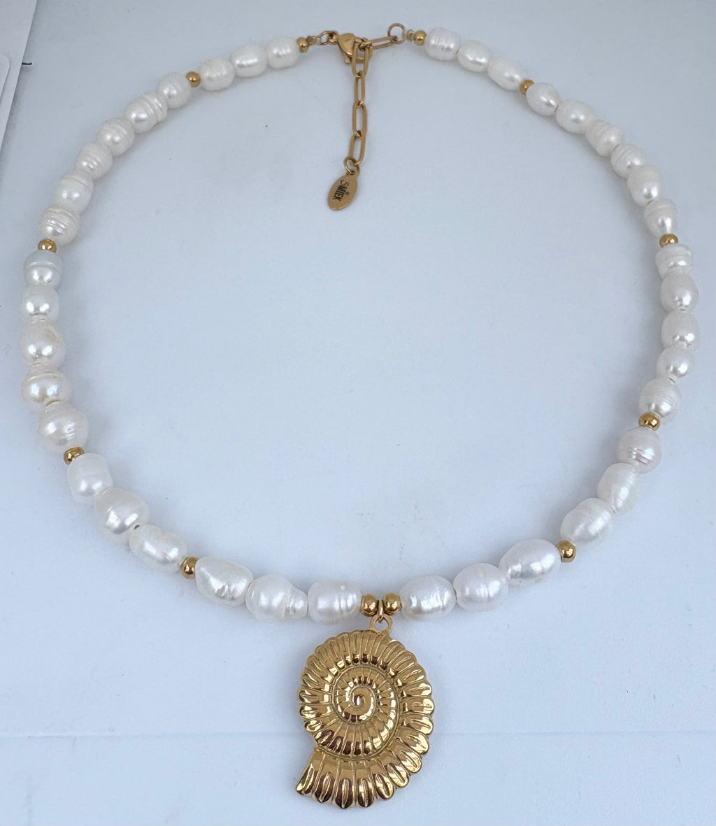 Big pearl shell