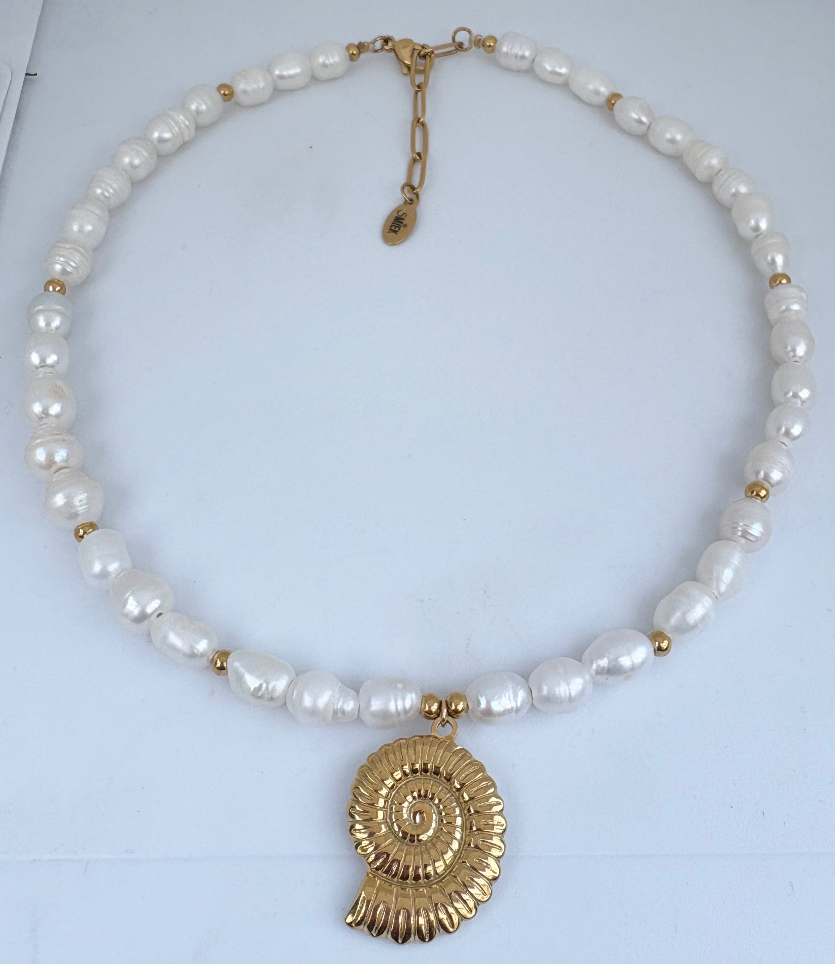 Big pearl shell