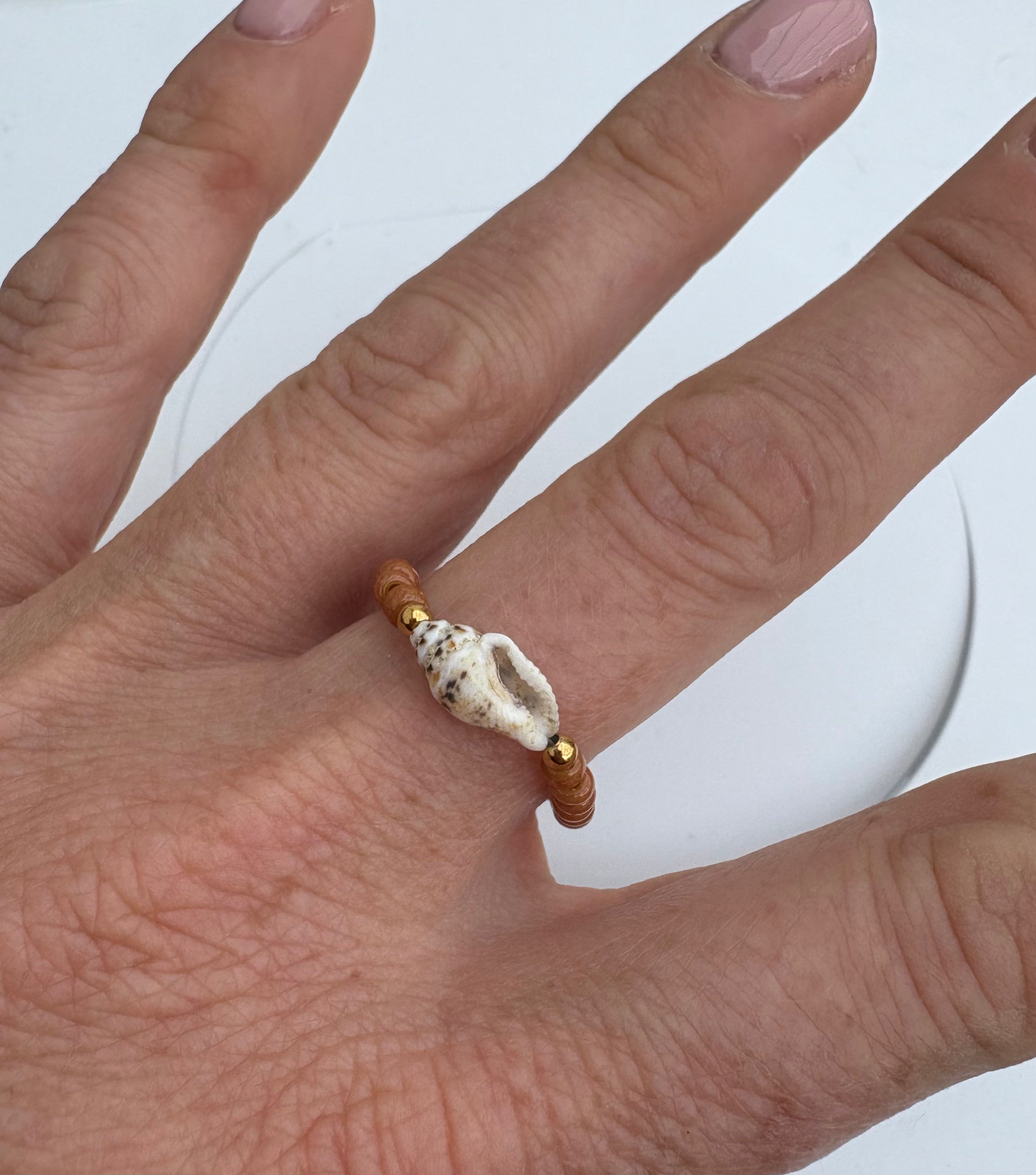 Sea Shell