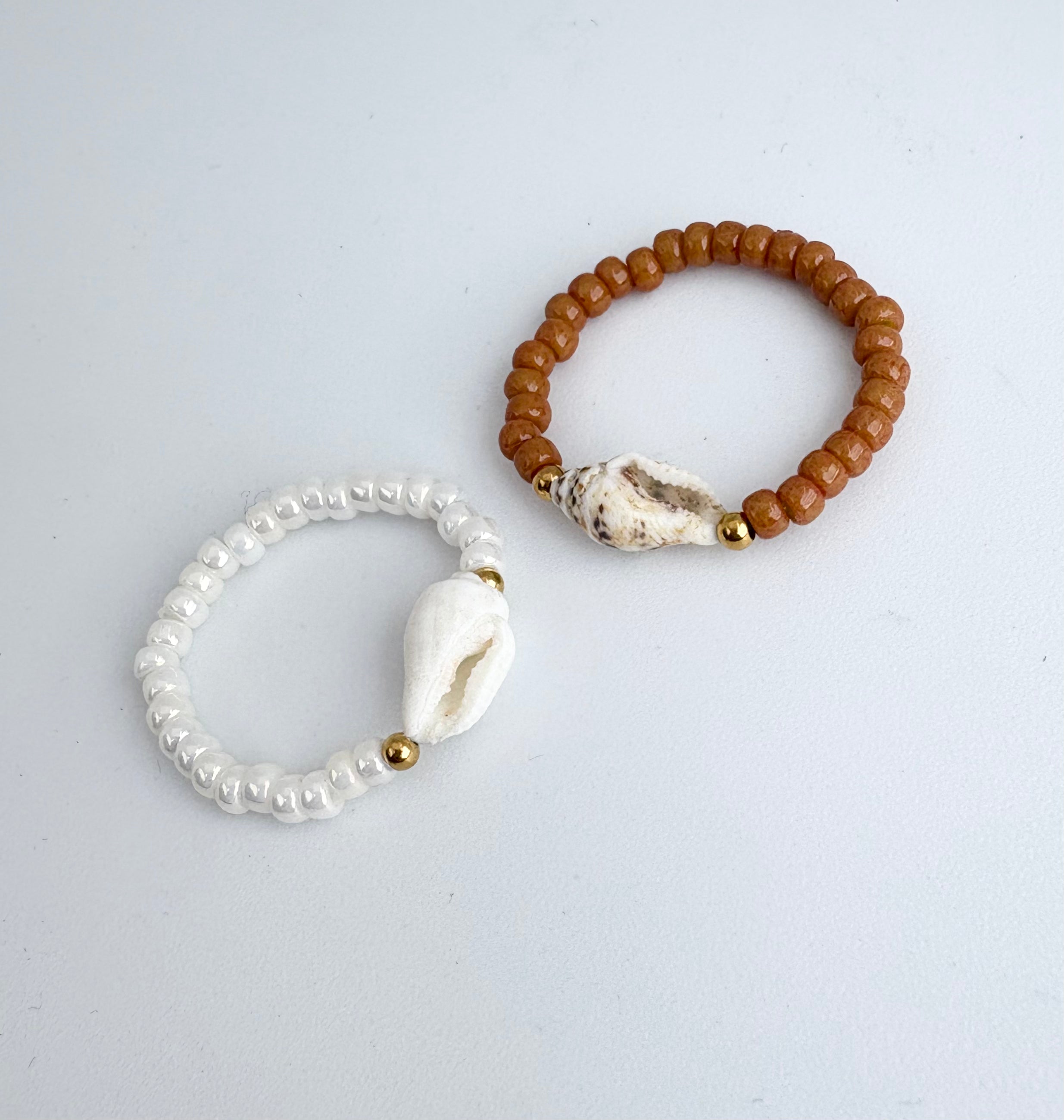 Sea Shell