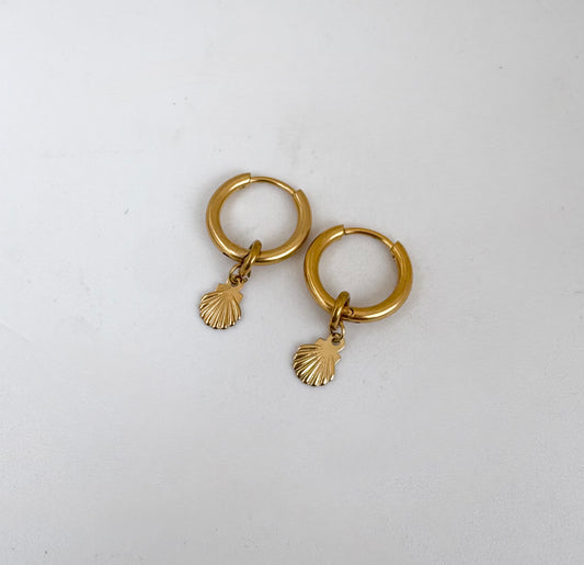 Golden Shell Hoops