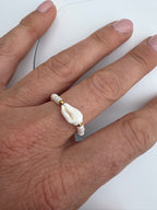 Sea Shell