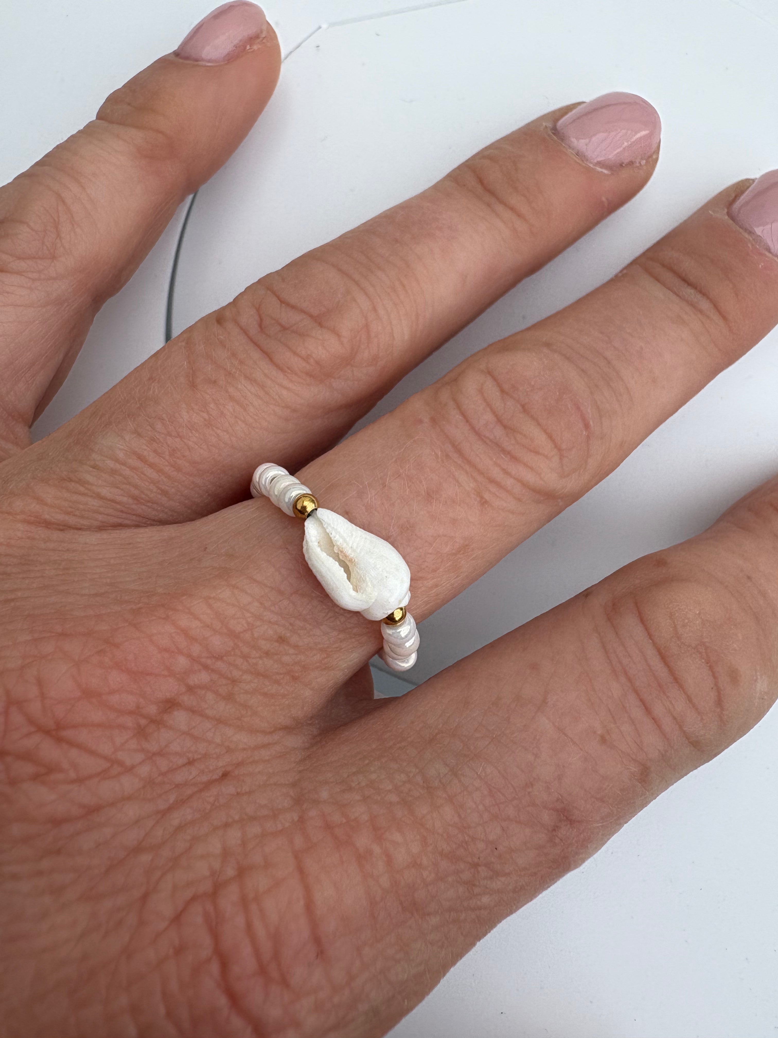 Sea Shell